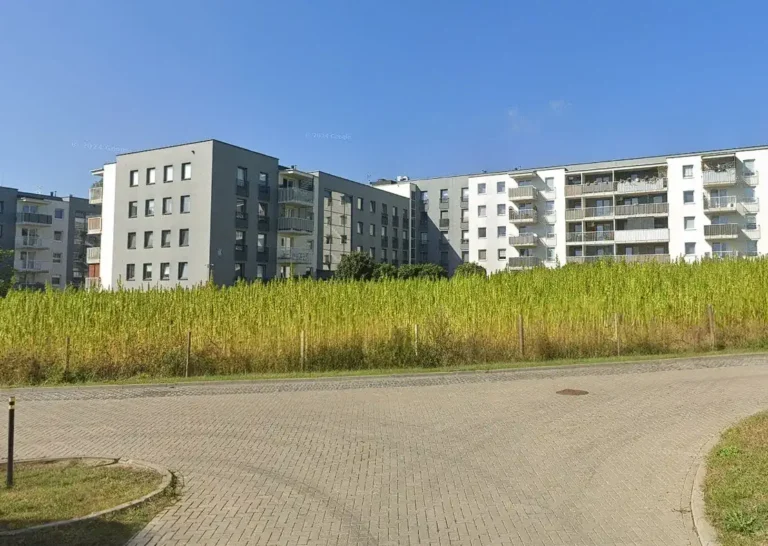 Pole Lublin Jantarowa
