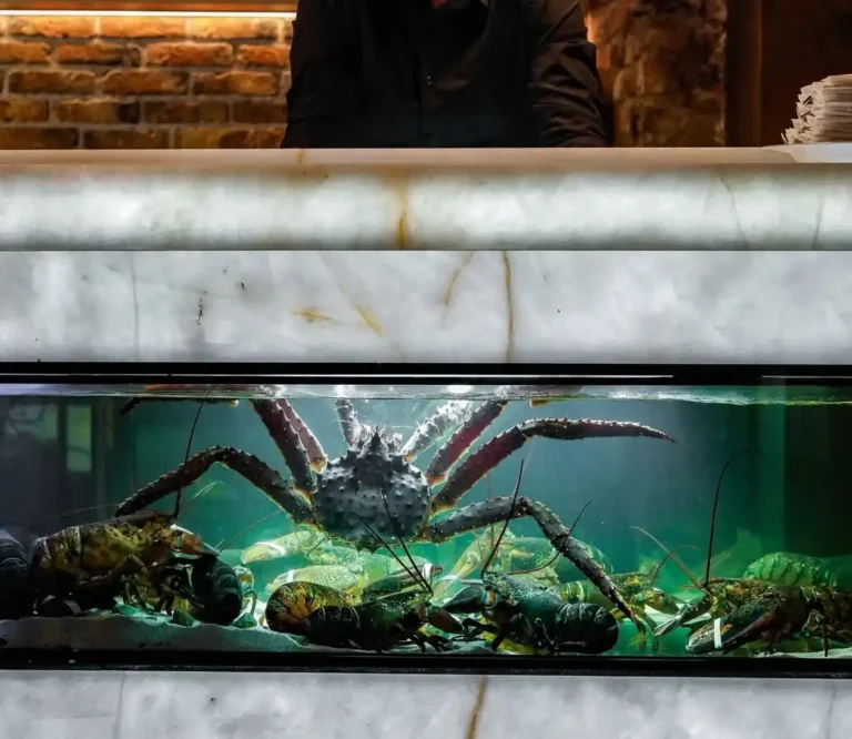 the lobster house